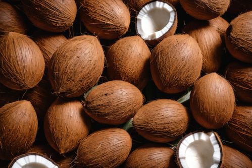 椰子攝影圖與椰肉食品的完美融合